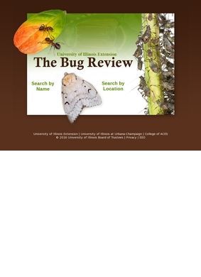 University of Illinois Extension: The Bug Review