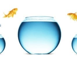Life - Image