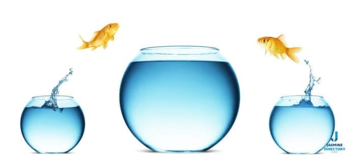 life Life - Image