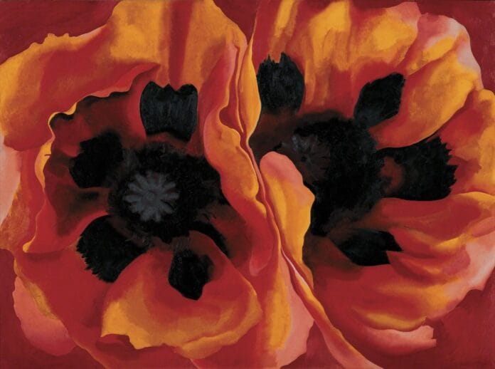 Oriental Poppies - Tate