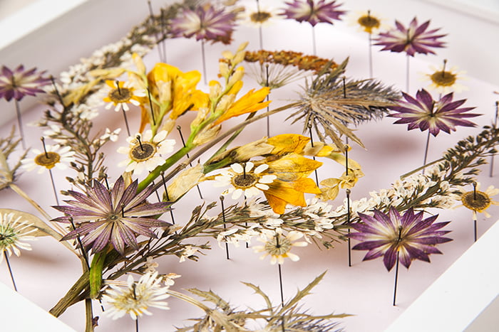 The art of pressed flowers - Pressed flower craft