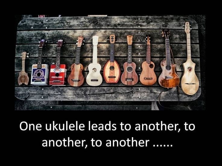 The First True Uke