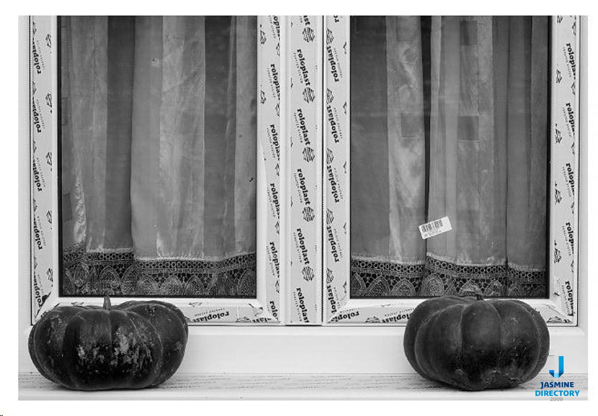 Two pumpkins in front of a window