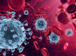 Virus - Coronavirus