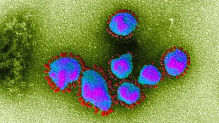 health Health - Coronavirus