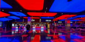 Local SEO for Surgeons Using Business Directories