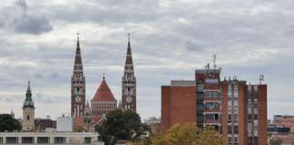 Proactive Steps to a Pest-Free Home