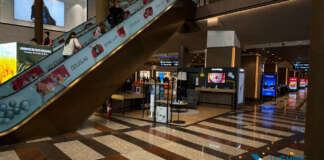 Entity-Linking: How to Connect Your Content to the Knowledge Graph