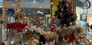 Core Updates and Technical Quality: The Correlation