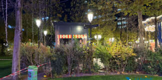 The “Verified” Badge: Consumer Psychology and Click-Through Rates