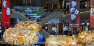 Automated Bidding Strategies: When to Trust the AI