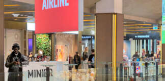 Optimizing for “Zero-Click” Searches: Survival Strategies