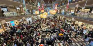 Top Career Tips for 2026: How to Stand Out in a Crowded Job Market