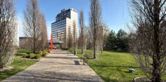 How Business Directories Support Brand Authority and Online Credibility in 2026