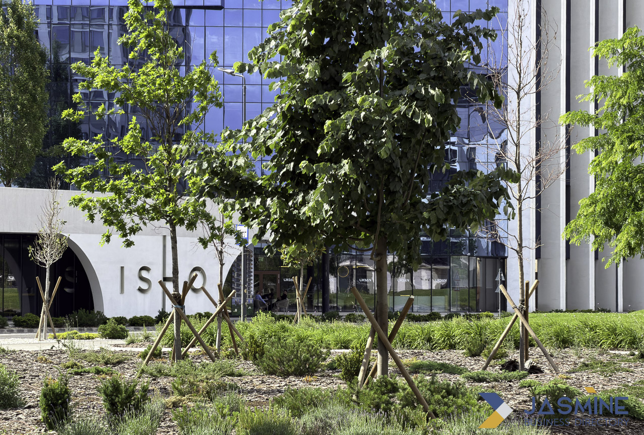 Contemporary commercial plaza with landscaping