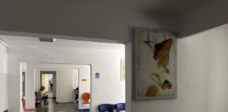 Government directories: how they work and why they still matter A clean institutional corridor with white walls and dark flooring features plastic chairs and abstract artwork, illustrating the organized spaces where government directories guide public access to services.