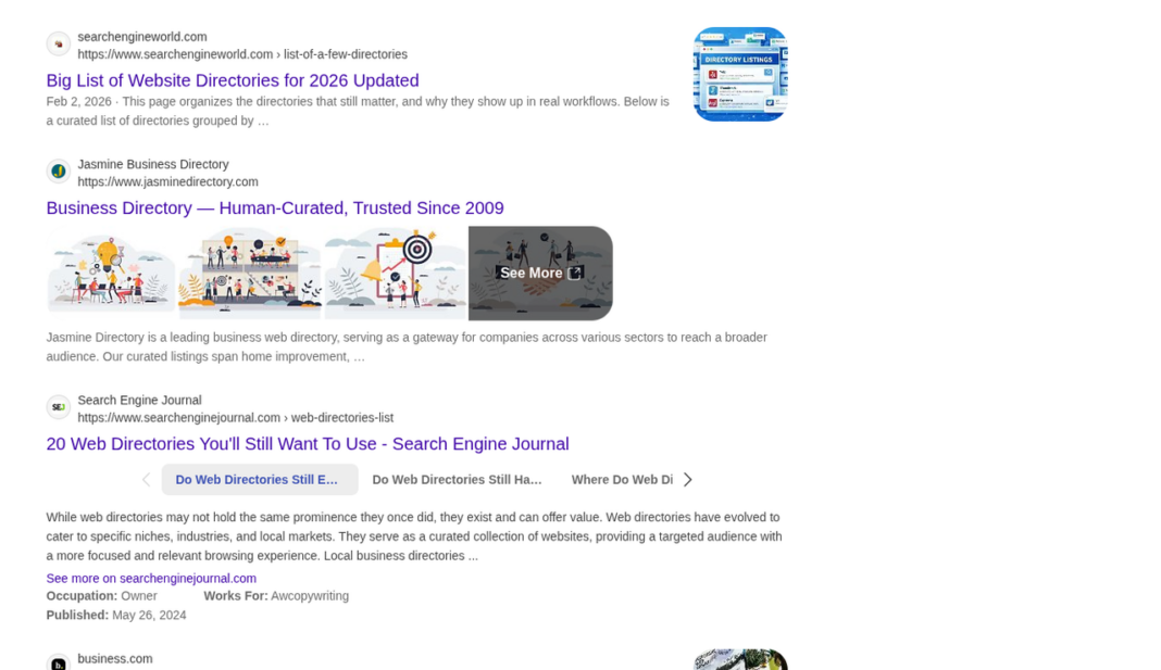 search-engine-results-web-directory-listings-screenshot-digital-navigation Search engine results page displaying three web directory listings with thumbnails, URLs, and descriptions, illustrating the concept of web directories and online business categorization.