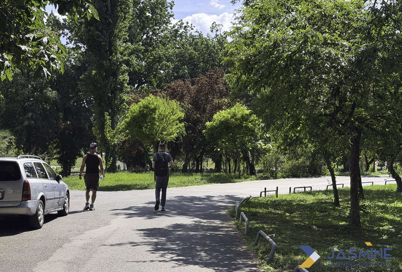 Two pedestrians on park path