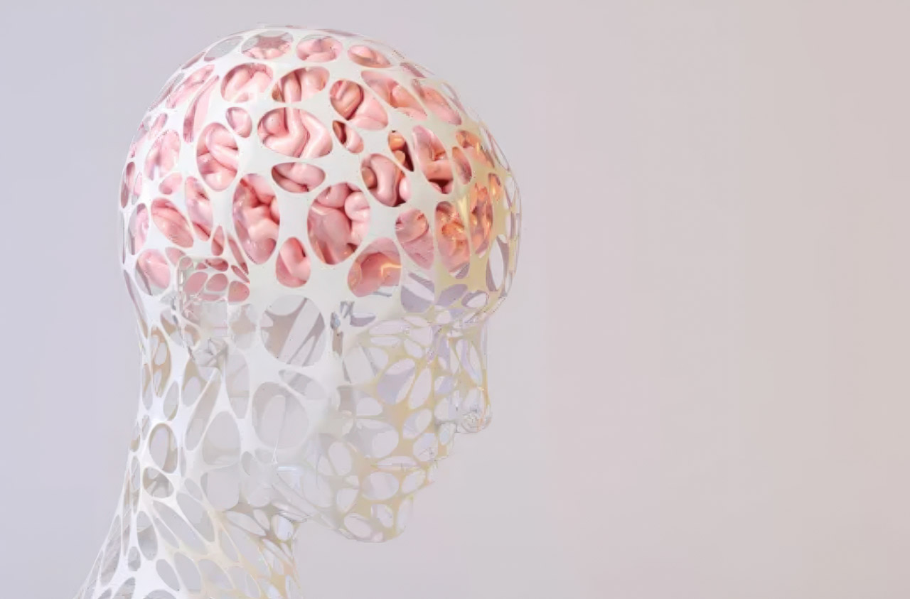 Translucent anatomical head sculpture with lattice framework revealing pink brain tissue, representing the essential role of human critical thinking in SEO.