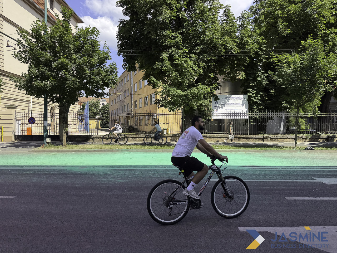 Cyclist rides on a turquoise-marked bike lane along a tree-lined residential street, illustrating local infrastructure that strengthens neighborhood connectivity.