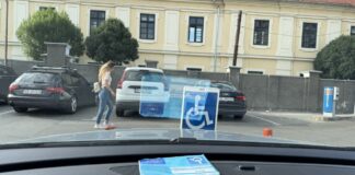 A blue handicapped parking permit with wheelchair symbol sits on a car dashboard overlooking a parking area, illustrating accessibility attributes that help users filter business listings.