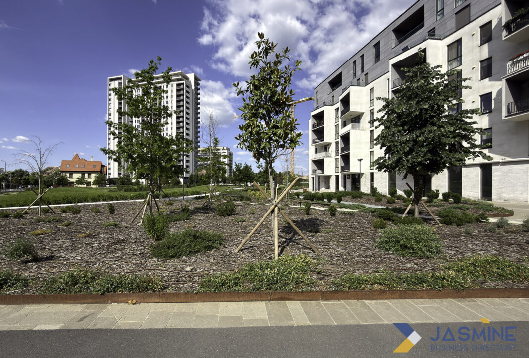 Contemporary residential architecture integrates landscaped outdoor spaces for modern urban living Newly planted trees and gravel landscaping in front of modern apartment buildings, illustrating outdoor design elements that enhance contemporary residential properties.