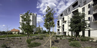 Preparing Your Finances Before Starting a New Business Newly planted trees and gravel landscaping in front of modern apartment buildings, illustrating outdoor design elements that enhance contemporary residential properties.