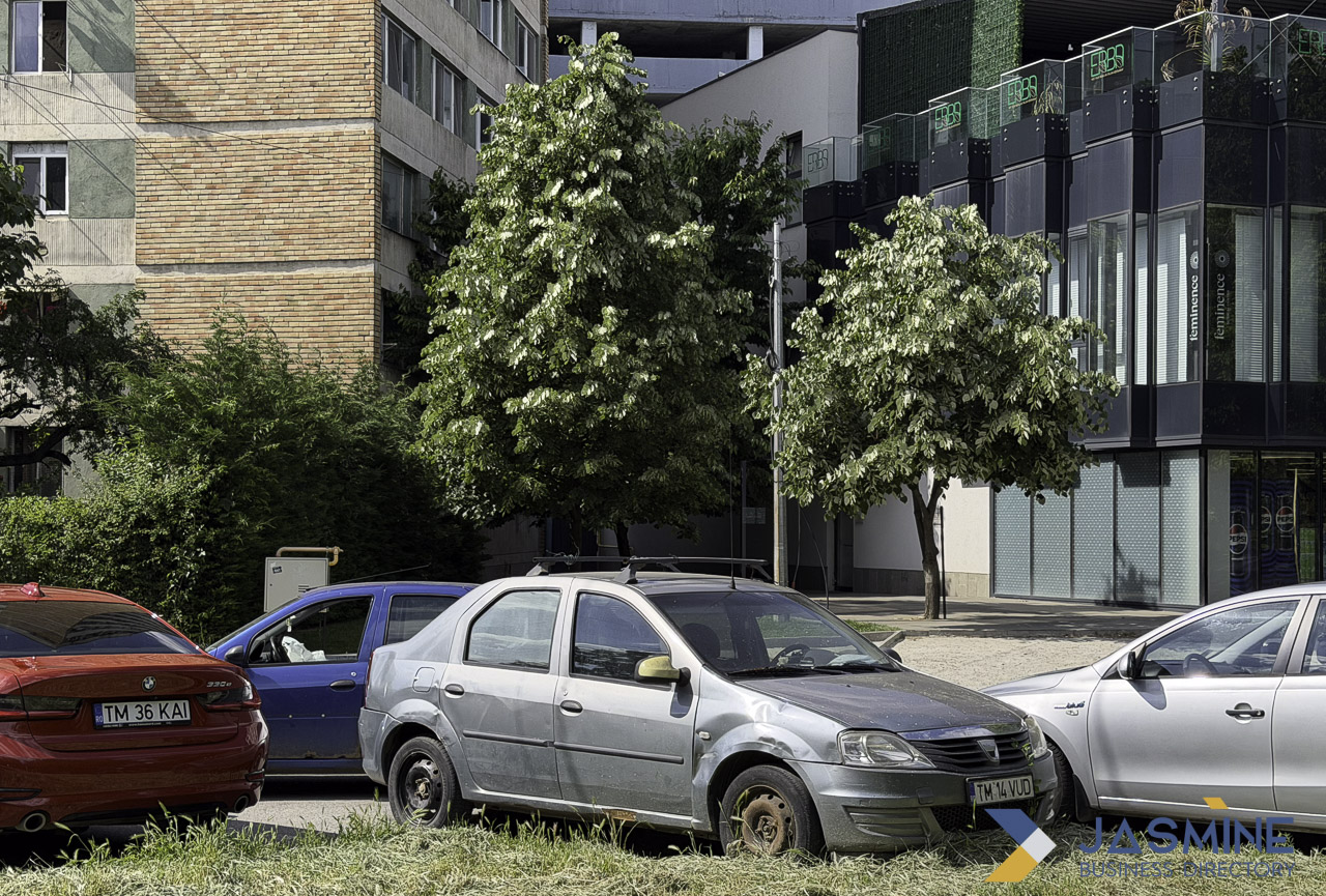 Urban street with parked cars and multi-story commercial buildings in Timișoara, demonstrating exterior location photography for business directory listings.