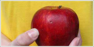 Health Issues avoided by having an apple
