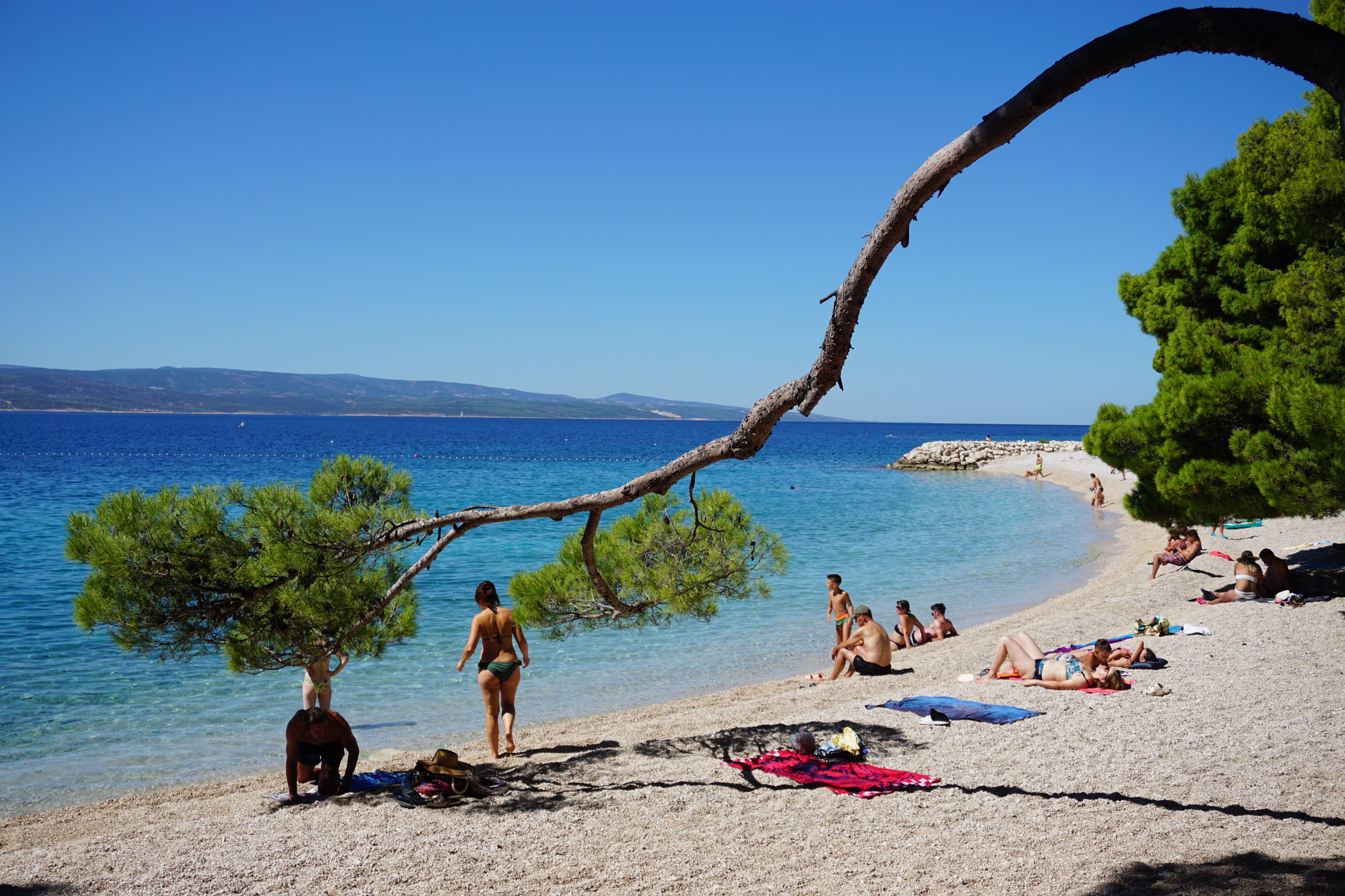 Local Business Listing