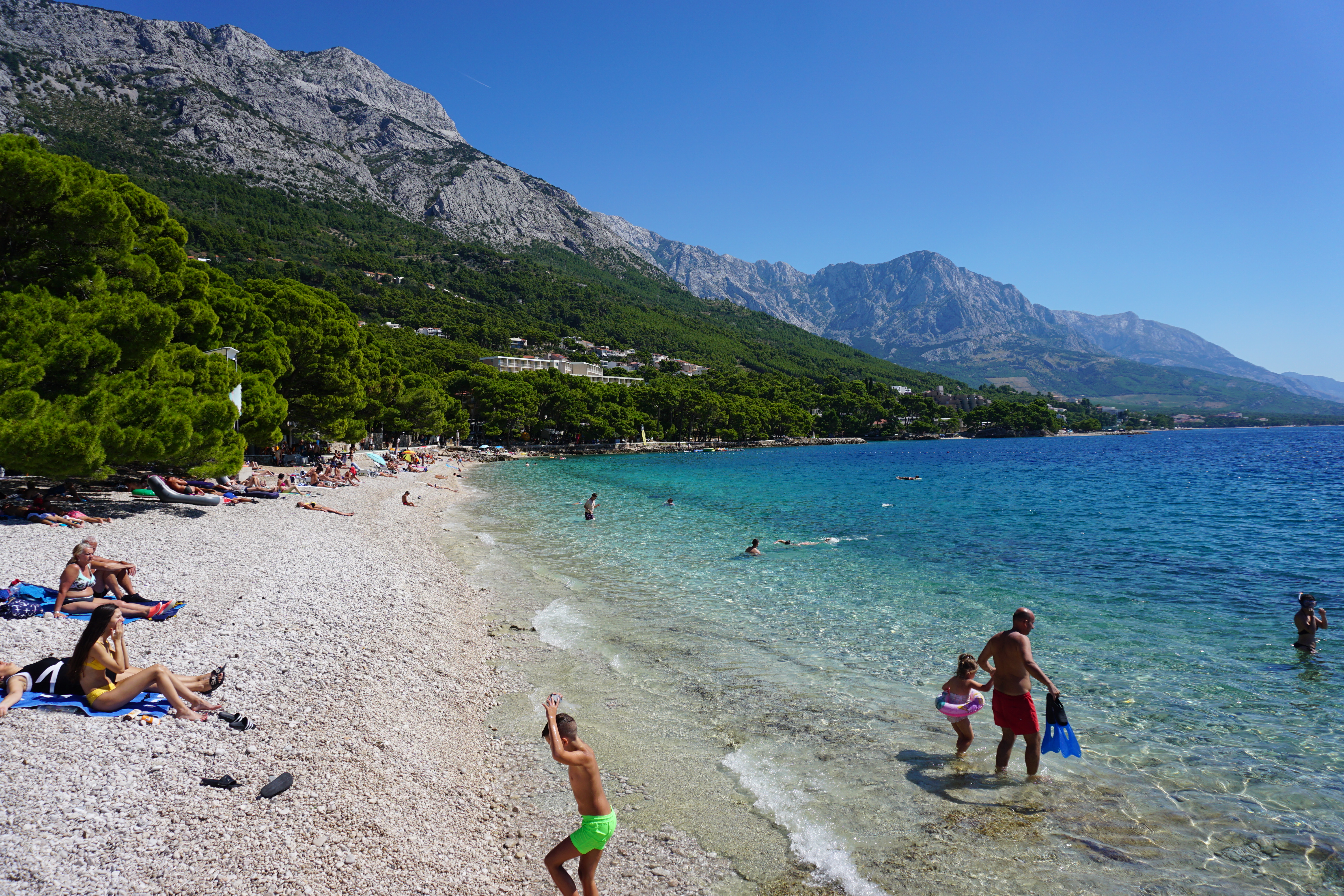 Local Business Listing