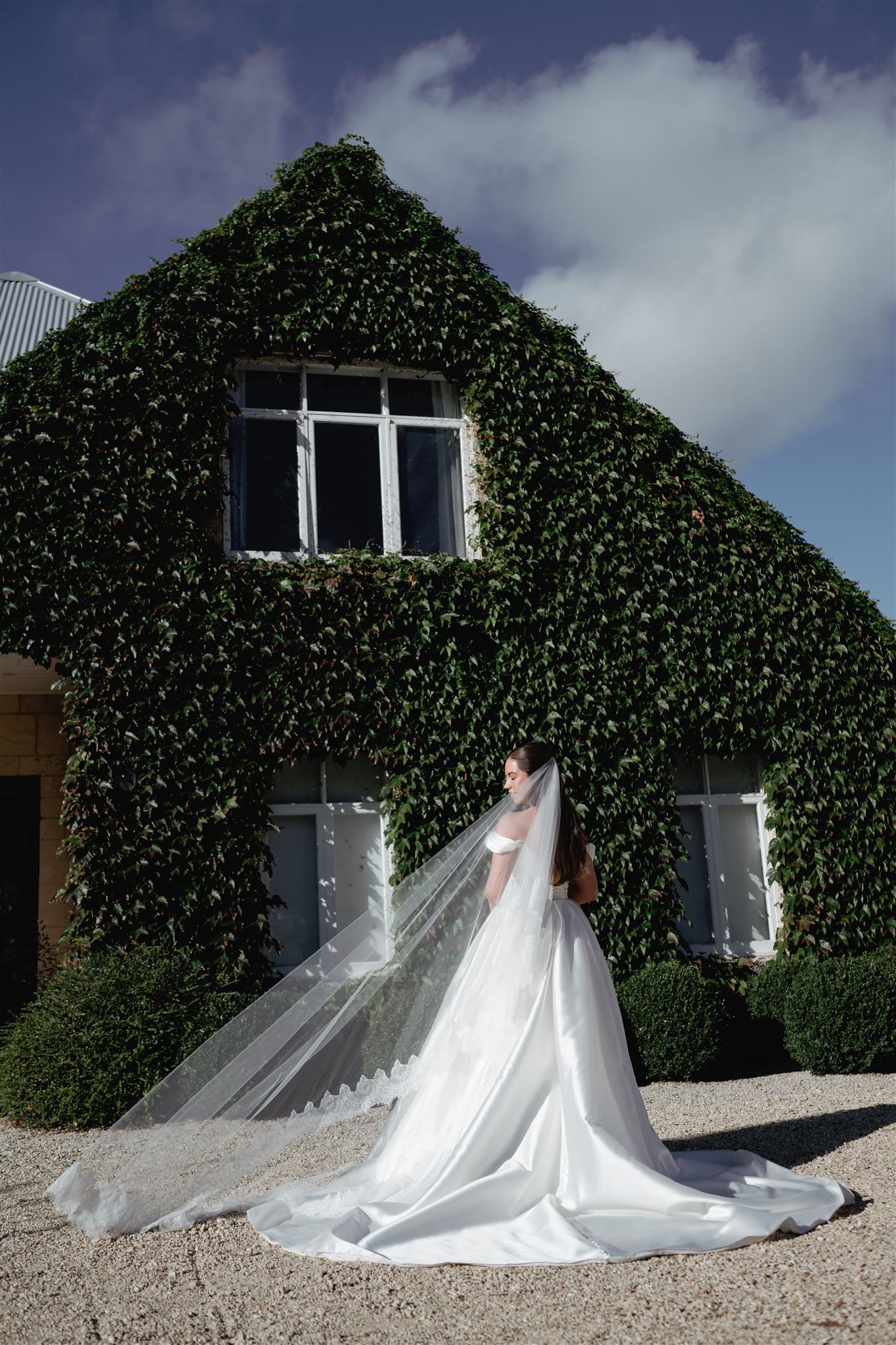 Local Business Listing