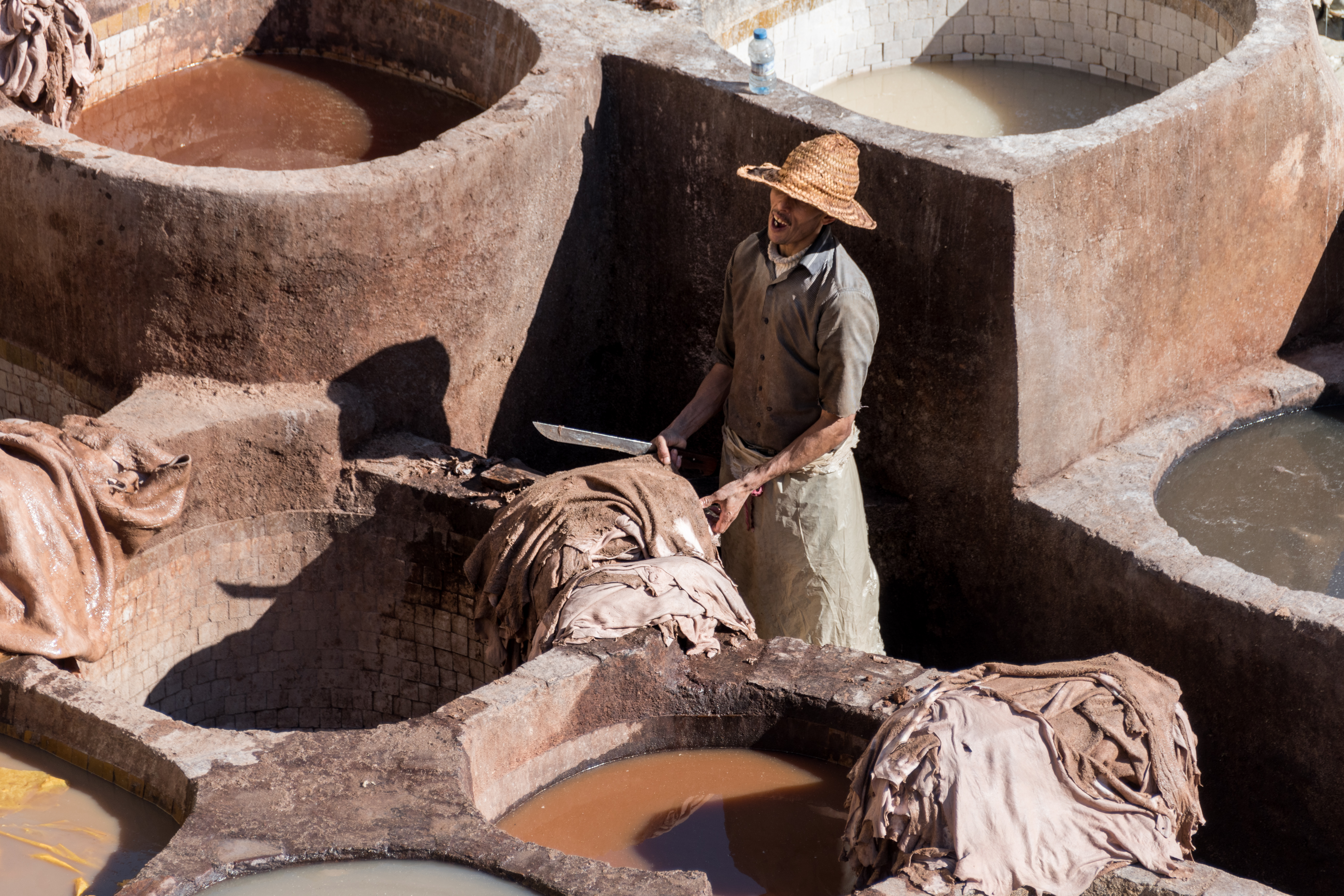 Local Business Listing