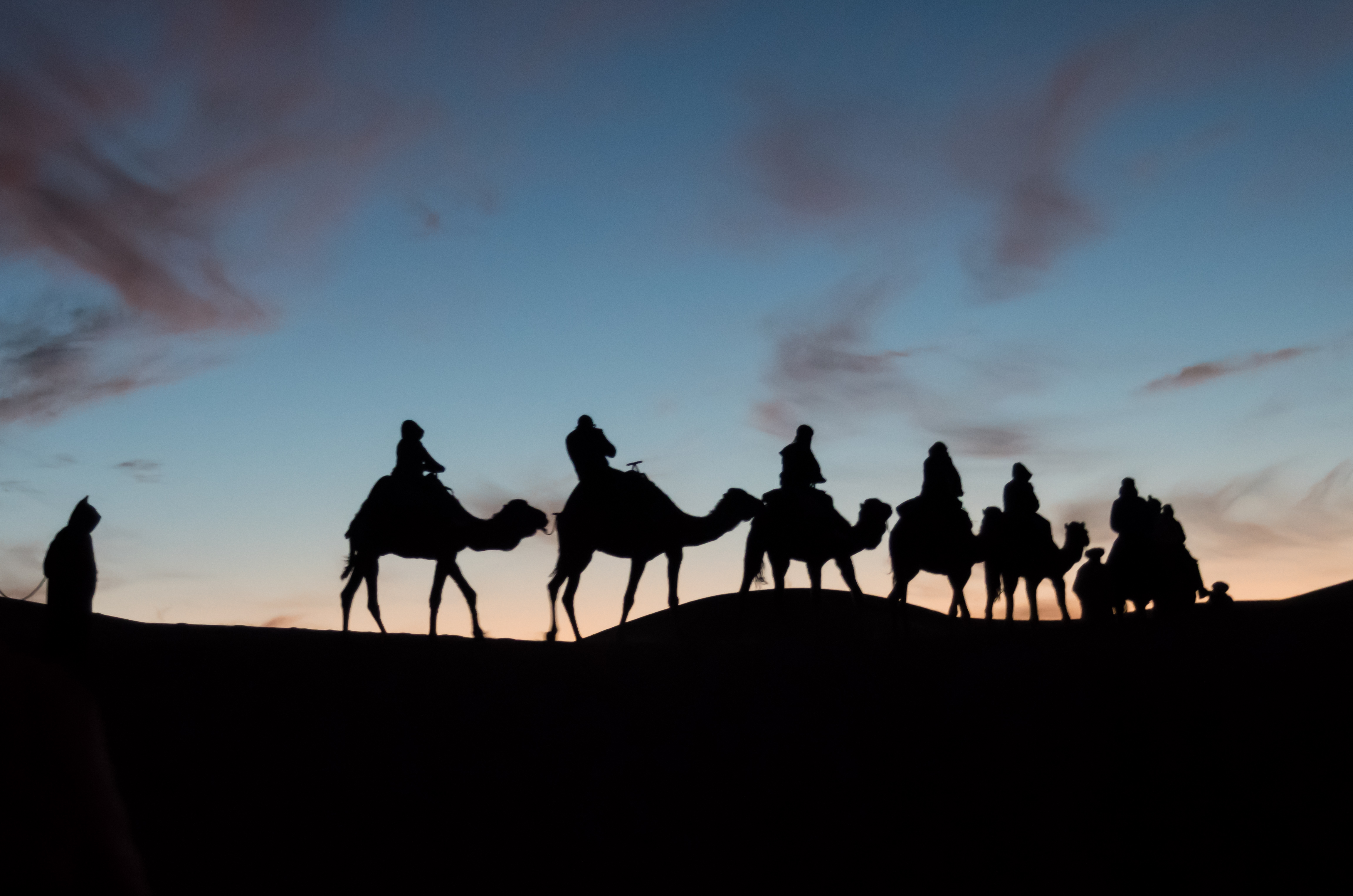 Local Business Listing