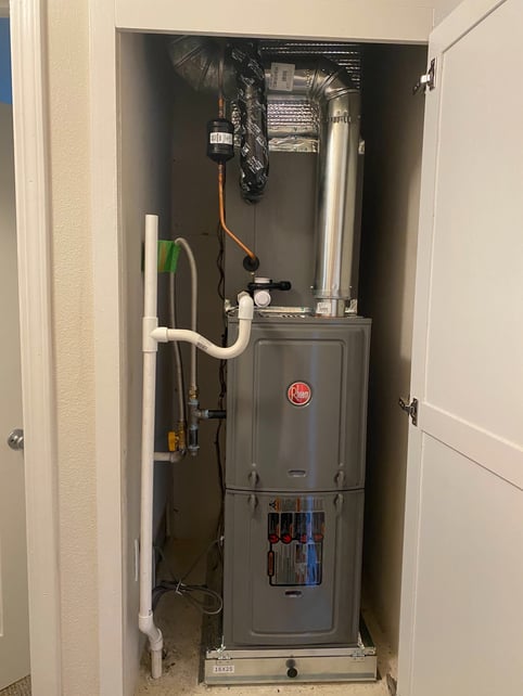 Local Business Listing