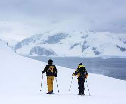 Local Business Listing