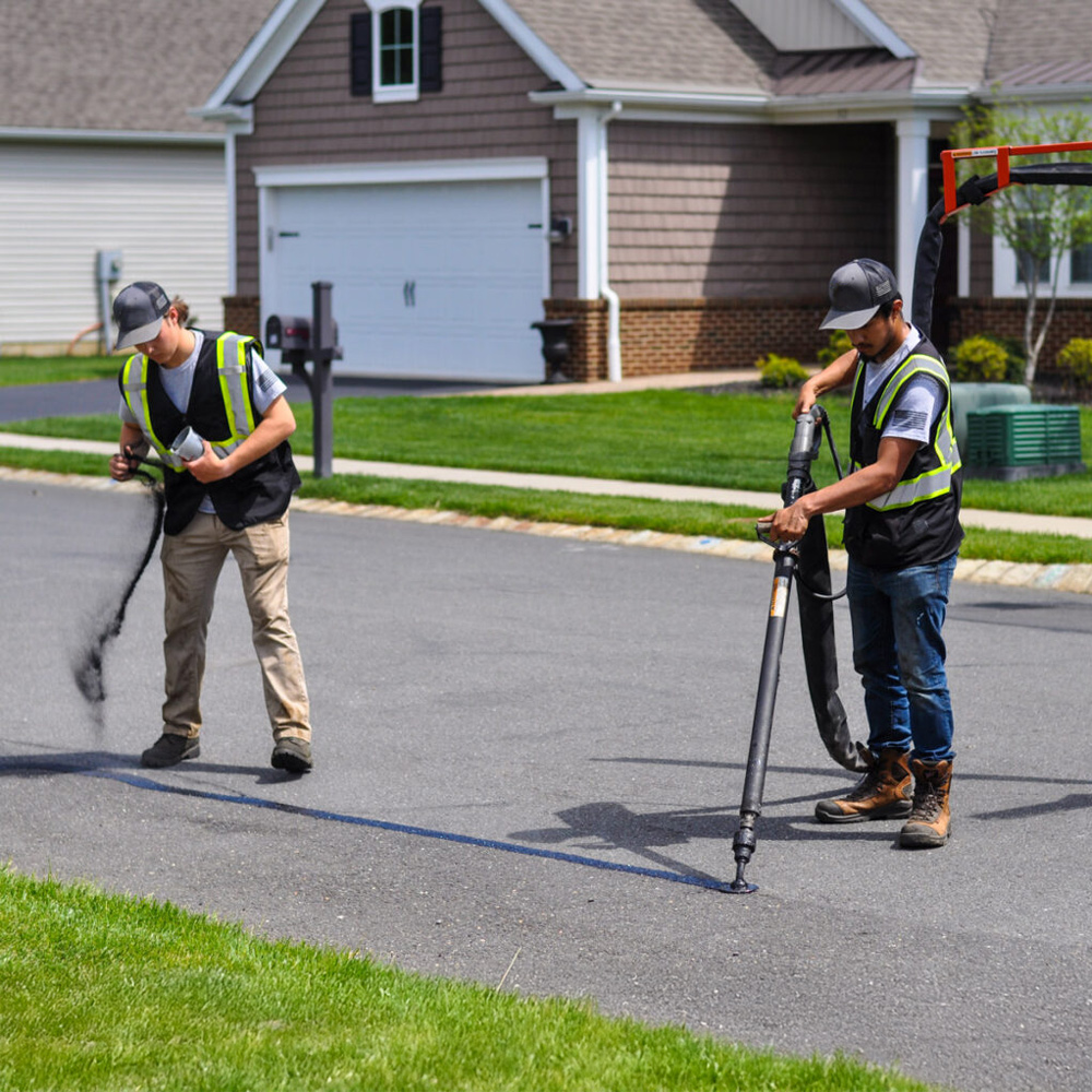 Local Business Listing