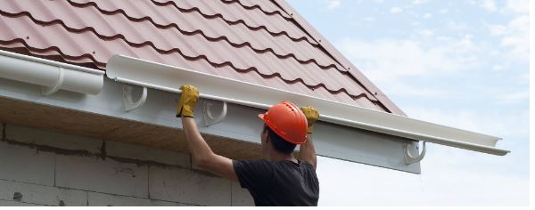 Local Business Listing