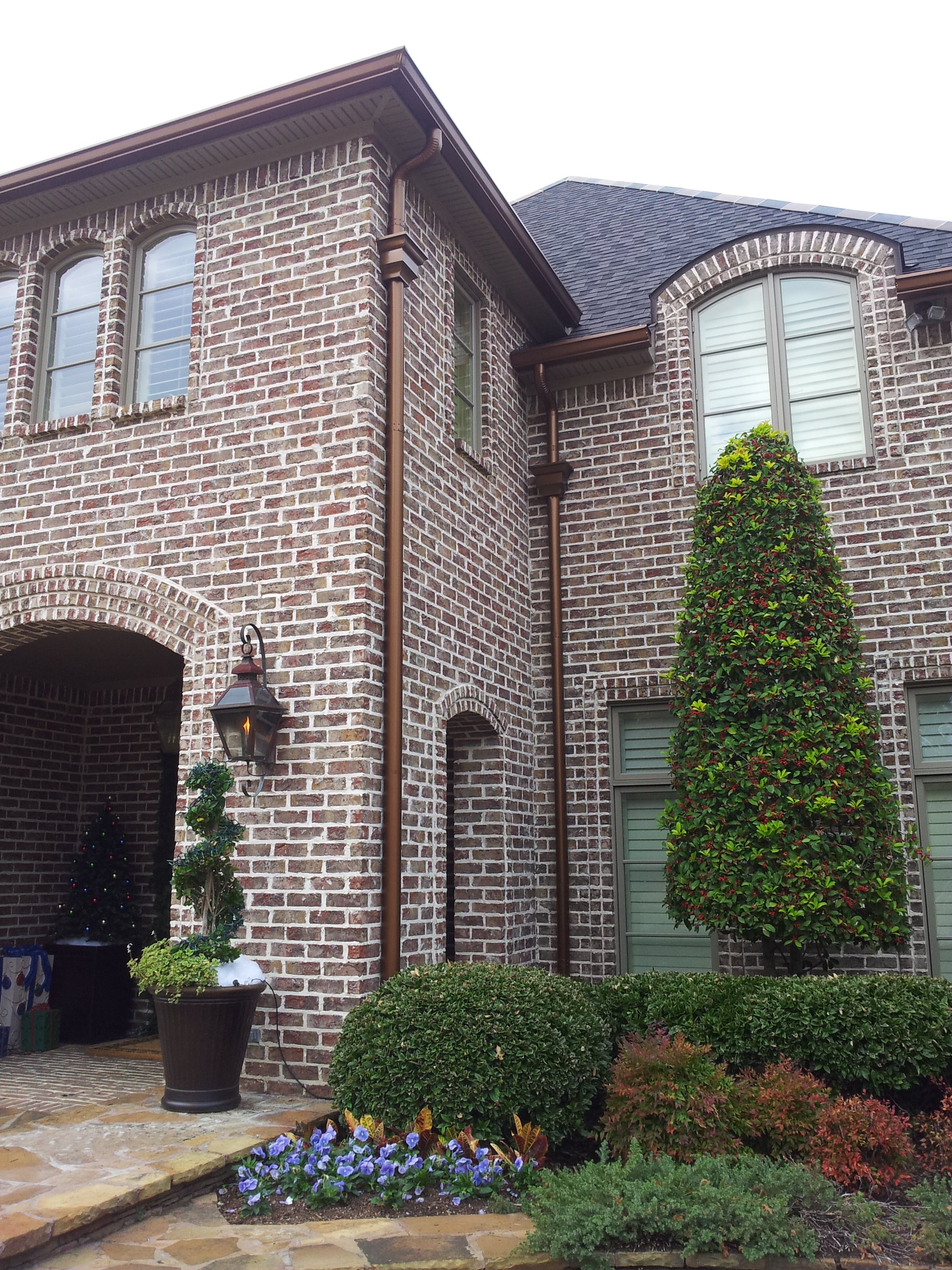 Local Business Listing