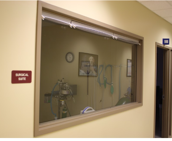 Local Business Listing