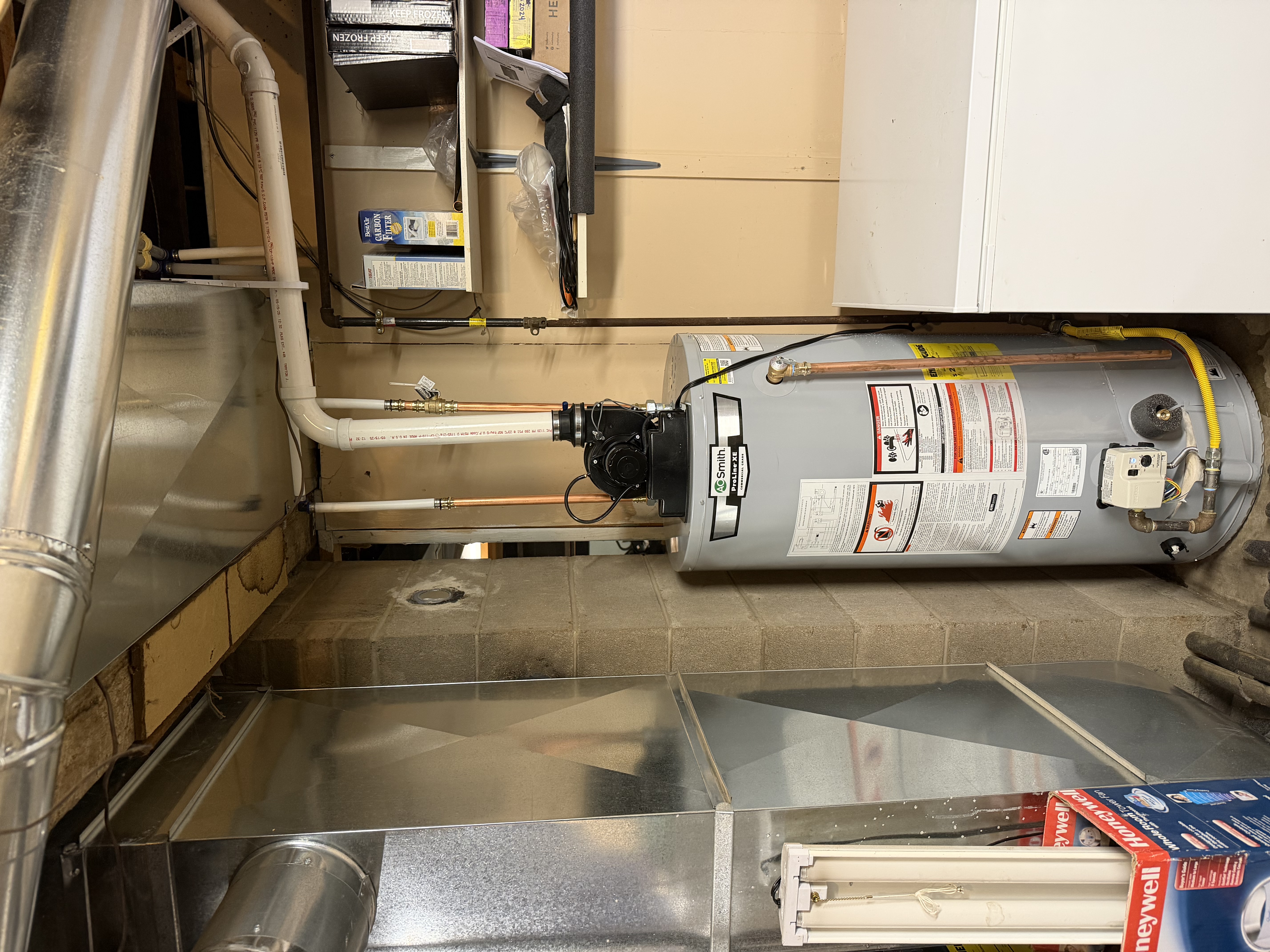 Local Business Listing