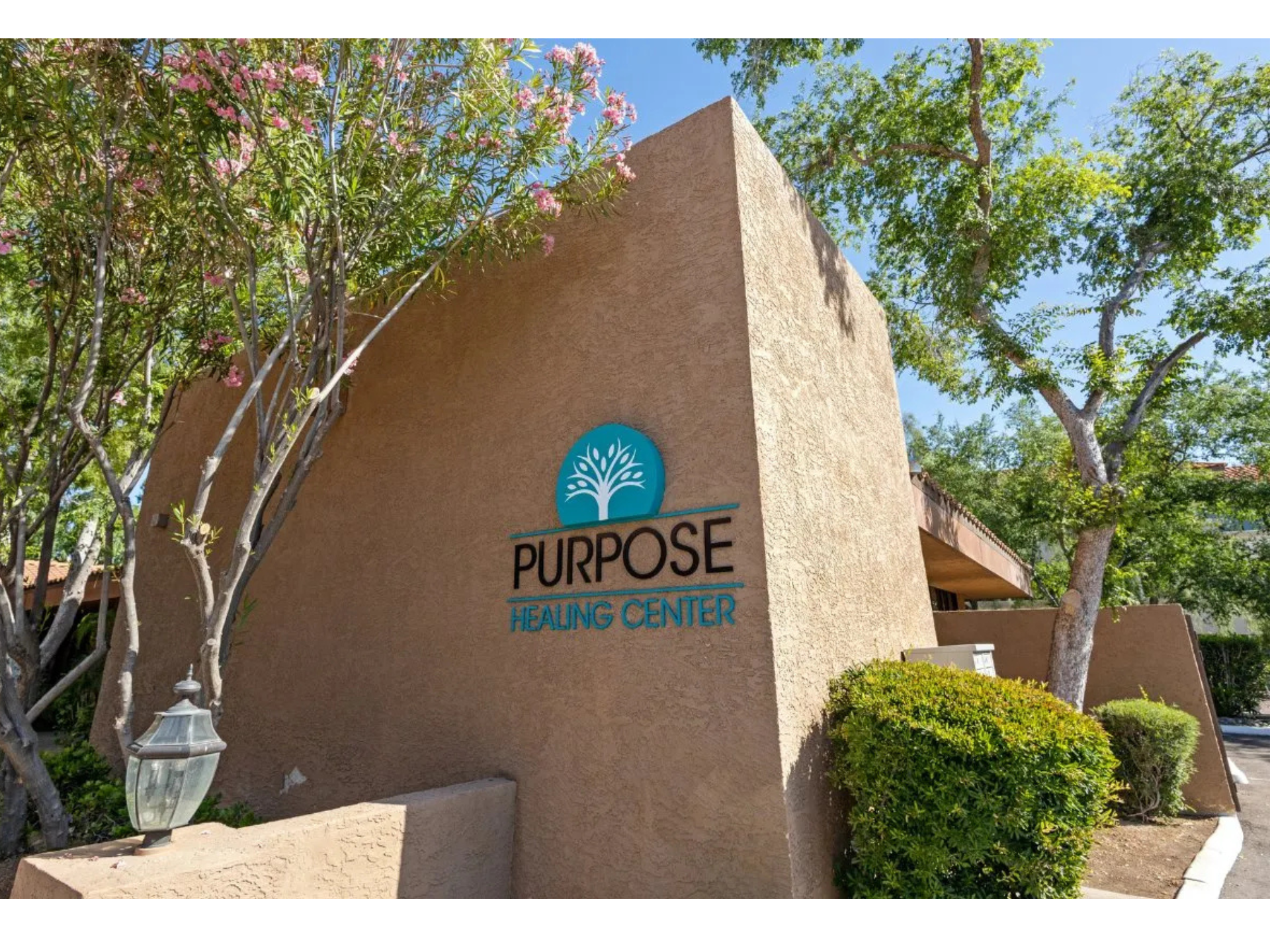 Local Business Listing