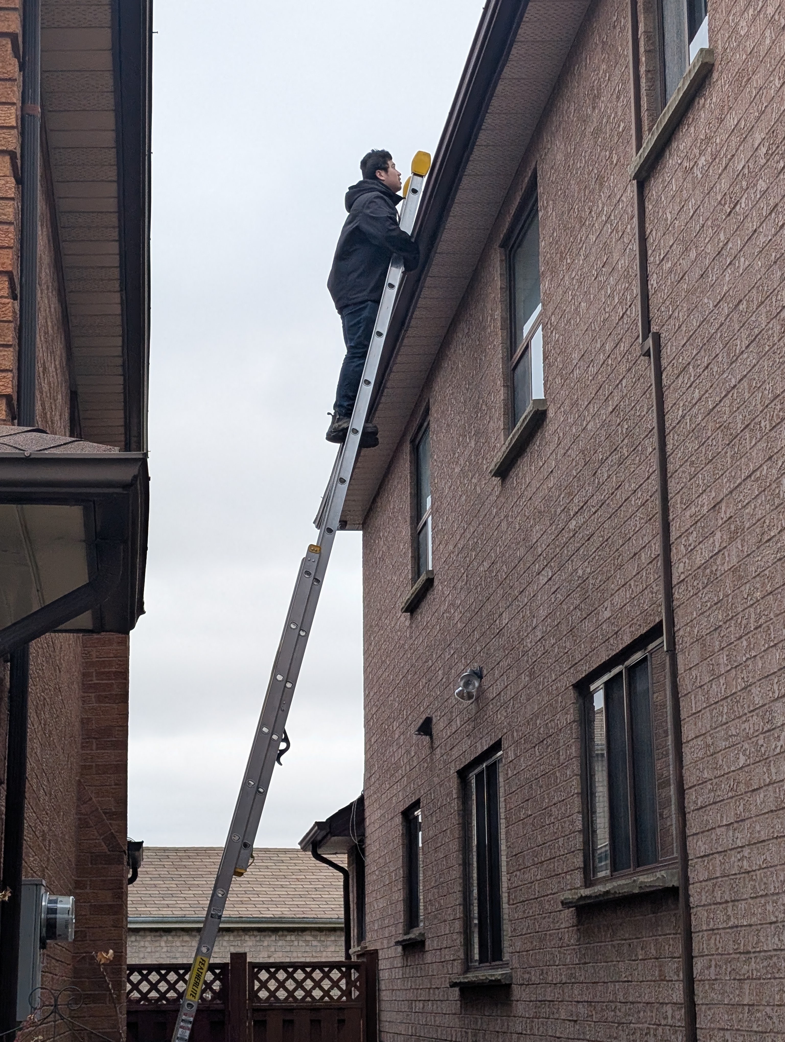 Local Business Listing