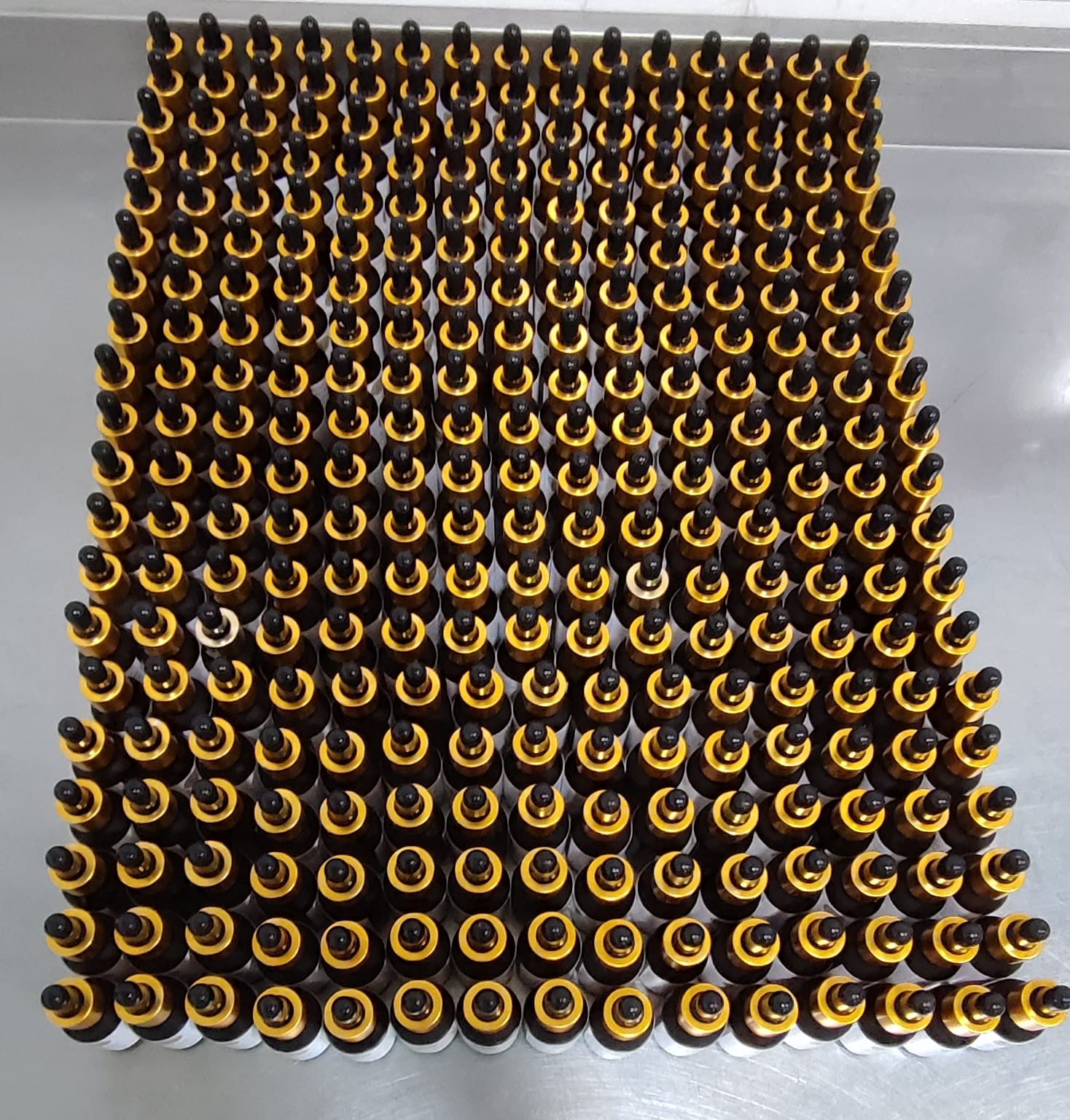 Local Business Listing