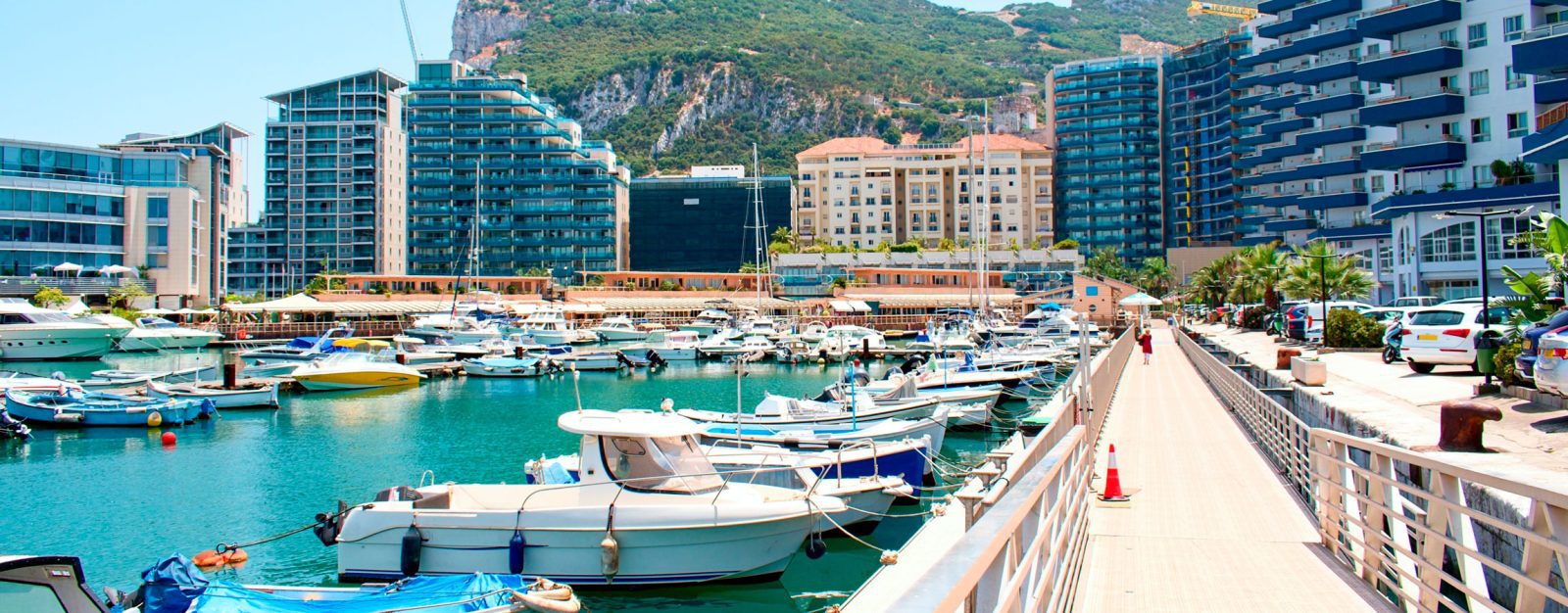 Local Business Listing