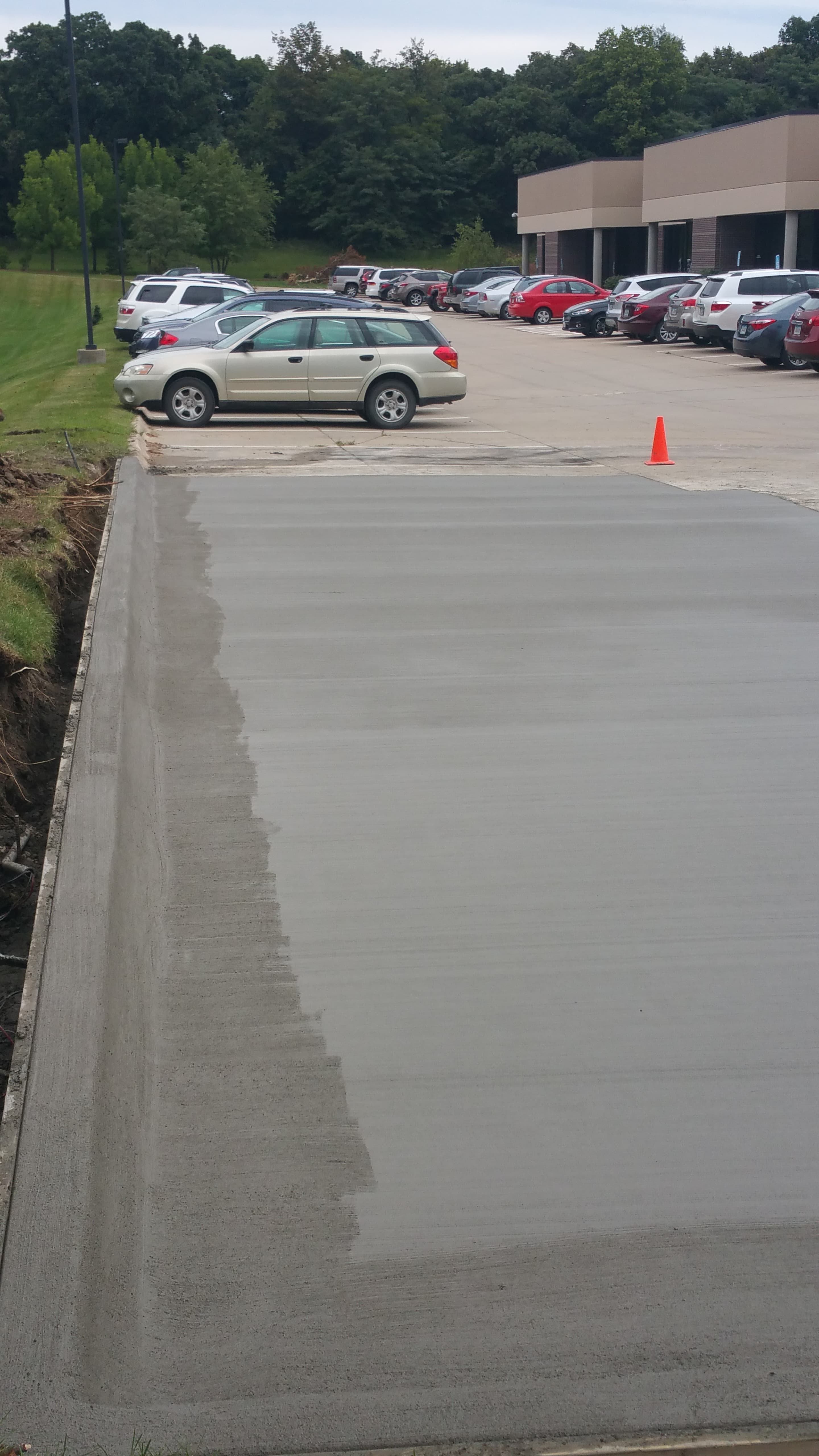 Local Business Listing