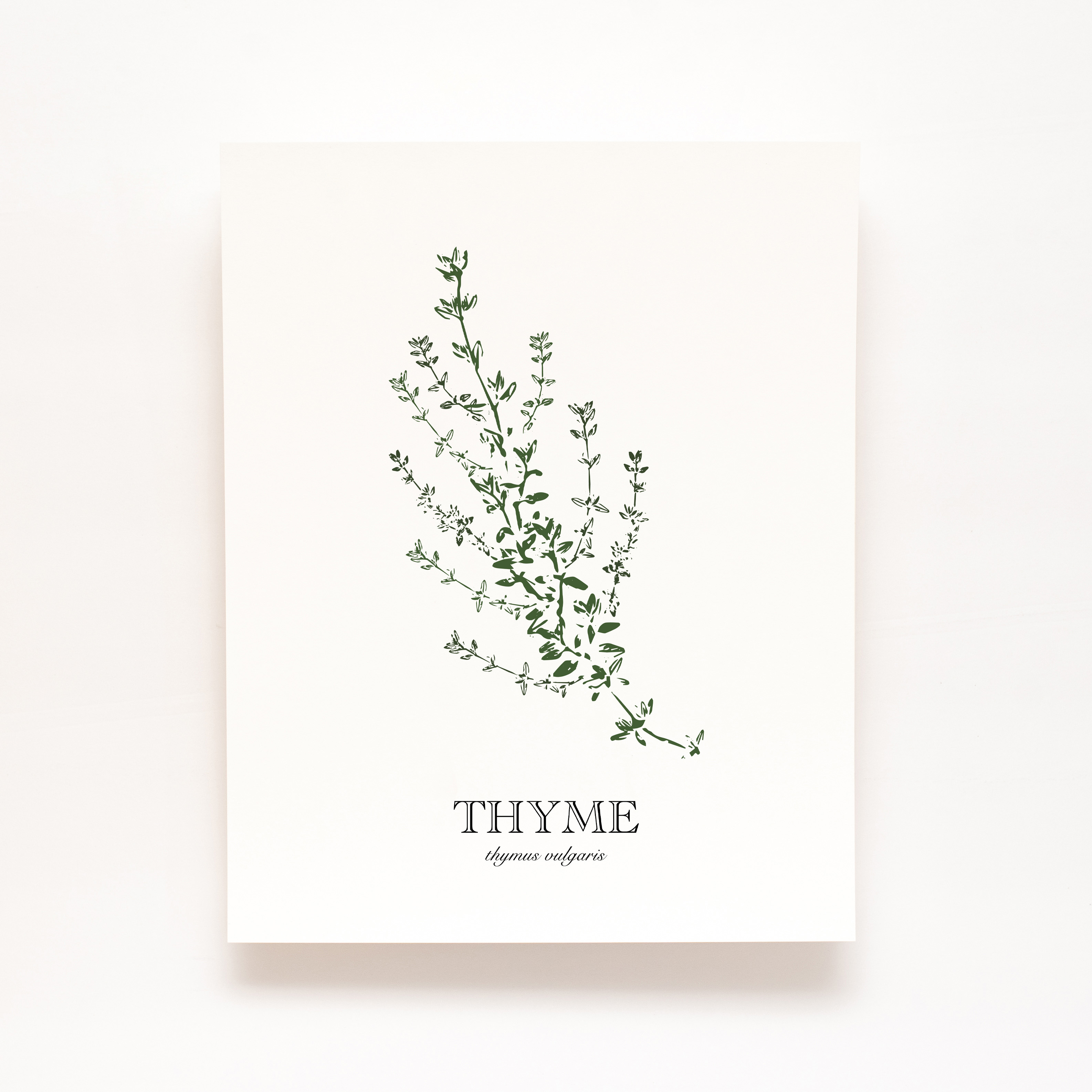 Local Business Listing