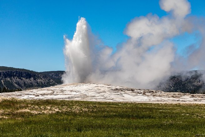 Local Business Listing