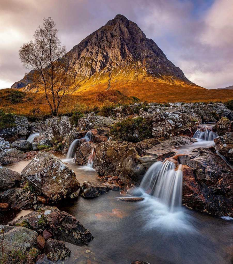 Local Business Listing