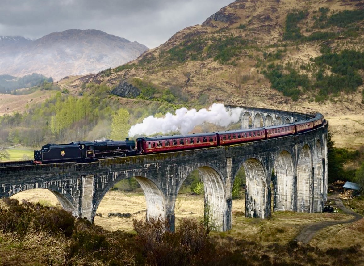 Local Business Listing